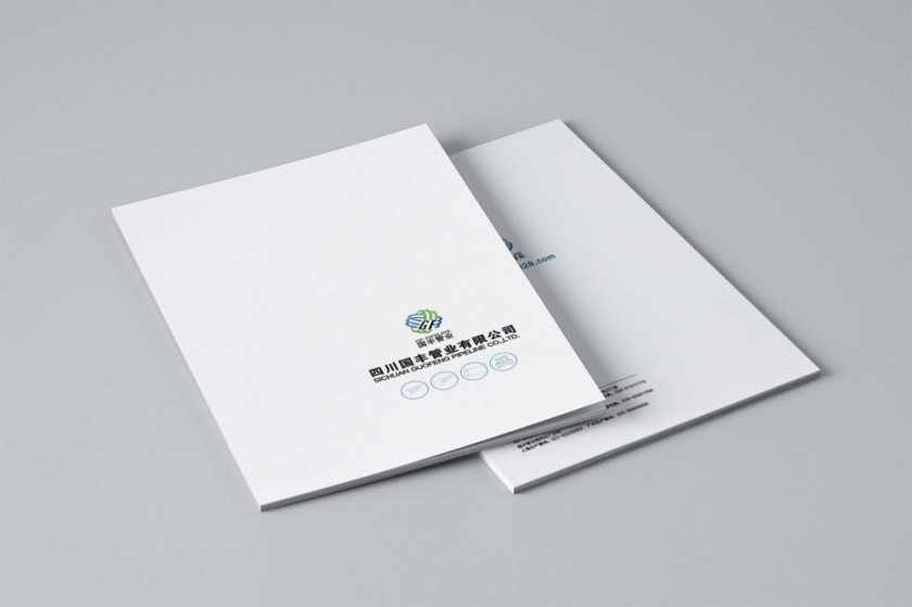 四川国丰管业有限公司1