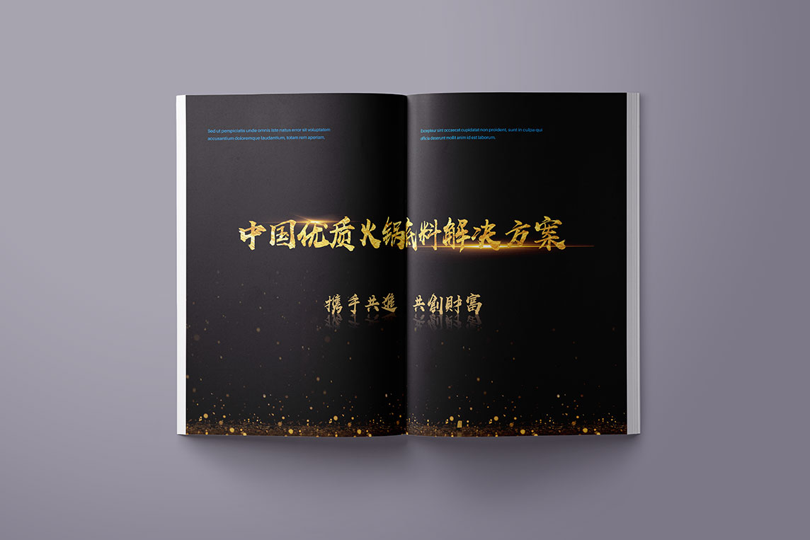蜀参谋画册设计3